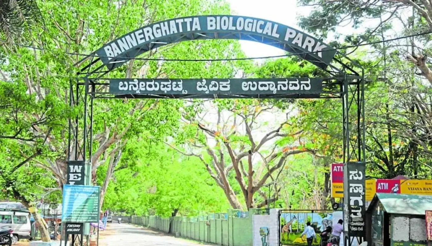 Bannerghatta National Park Trip